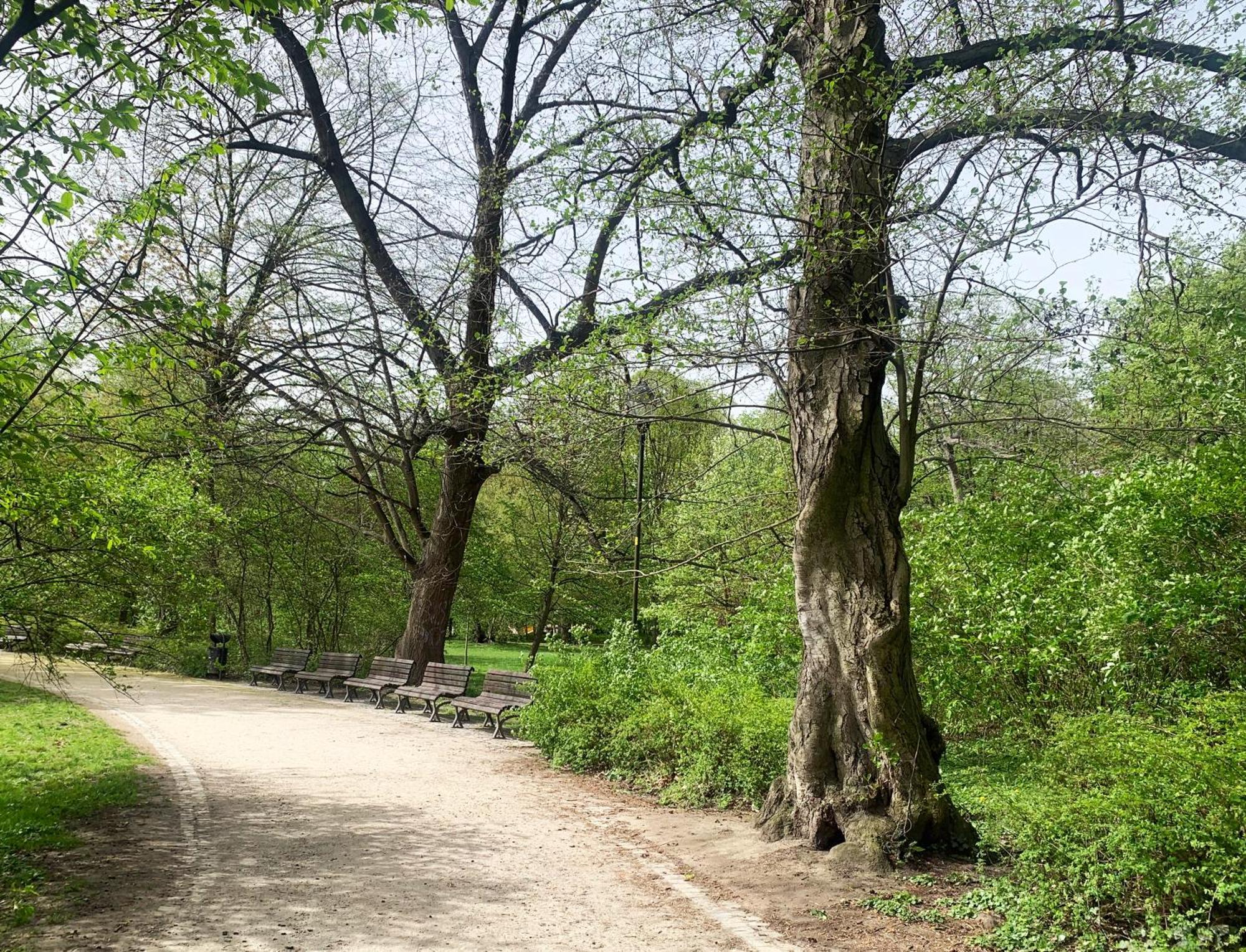 Stylowy Park Wawrzyniaka Wrocław